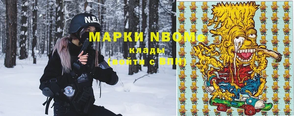 круглые Новодвинск