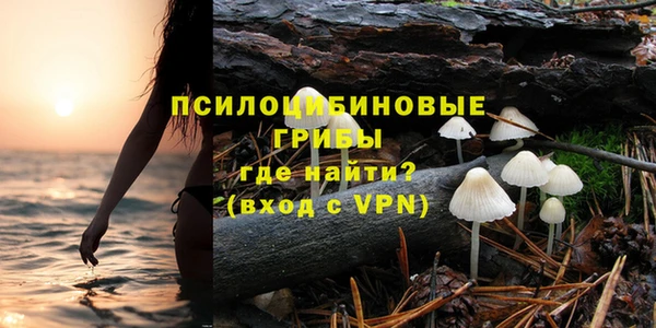 мет Няндома