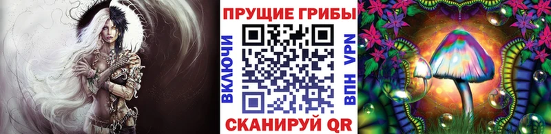 Галлюциногенные грибы мицелий  где продают наркотики  Ковров 