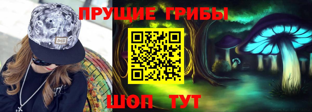 Ковров  Псилоцибиновые грибы Cubensis  Вход с VPN  Псилоцибиновые грибы Psilocybe 